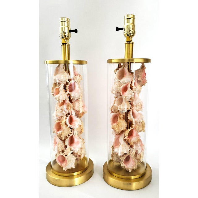 Late 20th Century Lamps Signed Ralph Lauren Pair Shells Seashells Added For Sale - Image 5 of 18