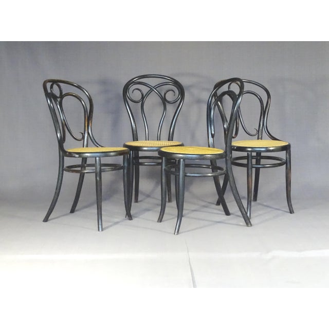 Empire Black Chairs from Kohn, 1885, Set of 4 For Sale - Image 6 of 9
