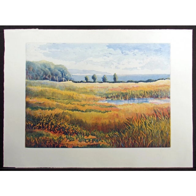 Contemporary 1990s Nicolette Jelen "Summer Morning Vii" Signed Aquatint Etching Art Print Landscape For Sale - Image 3 of 6