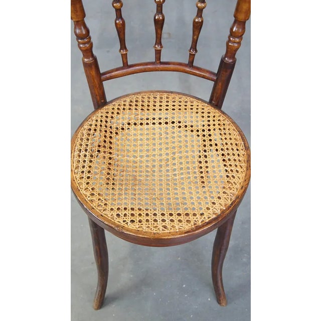 Dining Chair by Michael Thonet For Sale - Image 6 of 12