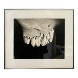 Erica Child Prud’homme, Charcoal Drawing Abstract Teeth Bone Erica Child Prudhomme American Woman Artist, 1994