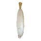 Shop Dlight Chandelier and Decor