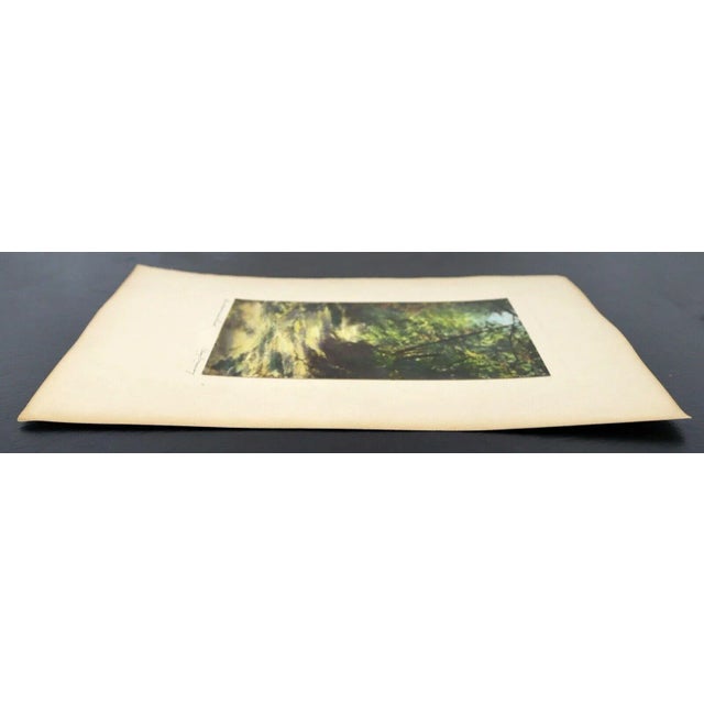 Percy Murray Sunlight and Shade Signed Vintage Photo For Sale - Image 4 of 5