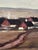 B. Jernberg, Landscape with Farms, 1950s, Oil Painting on Canvas, Framed For Sale - Image 5 of 16
