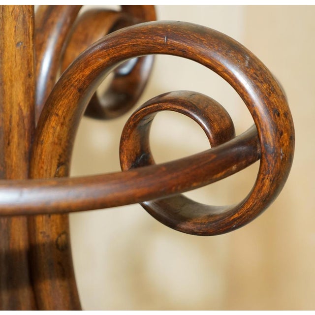 Late Victorian Bentwood Coat Rack Stand from Thonet, 1880s For Sale - Image 10 of 18
