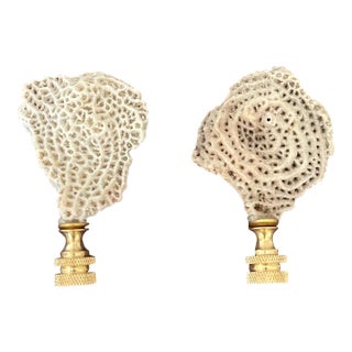 1970s Lamp Finials Pair of Sea Shell Coral Fragments - A Pair For Sale