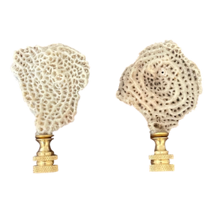 1970s Lamp Finials Pair of Sea Shell Coral Fragments - A Pair