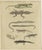 Bertuch, Lizards and Newts, Eight Species, 1805, Print For Sale - Image 3 of 12