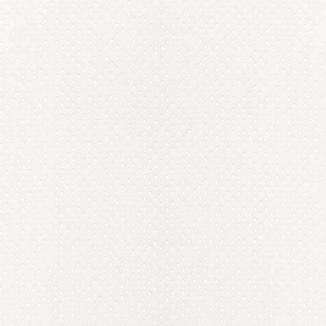 Sample - Schumacher Donatello Sheer Fabric in Ivory For Sale