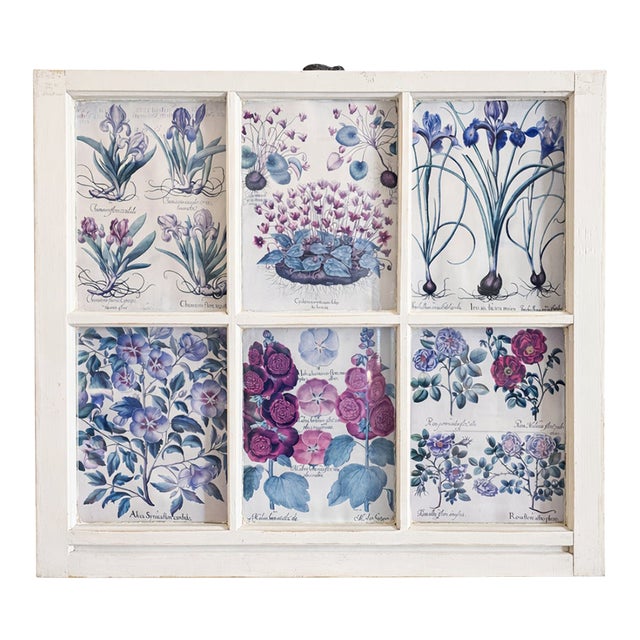 Botanical Prints in Antique Window Frame For Sale