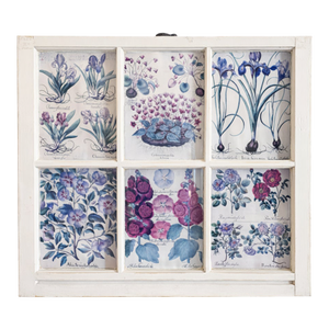 Botanical Prints in Antique Window Frame