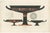 Albert Genick, Greek Kylix with Chariot & Warrior Procession, 1883, Lithograph For Sale - Image 10 of 10