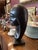 1950s Attributed to G. Arias Aymara Women Bust Sculpture For Sale In Baltimore - Image 6 of 7