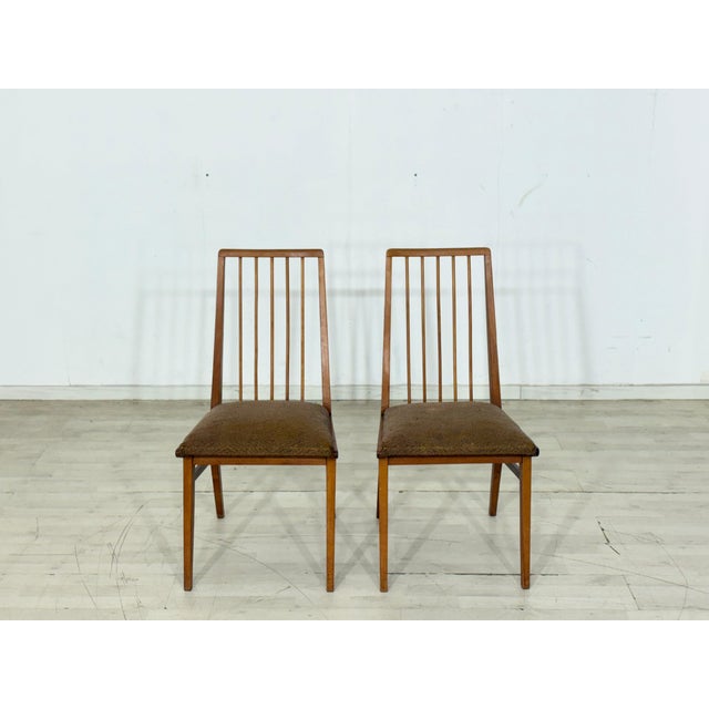 Vintage Hellerau Chairs, 1960s, Set of 4 For Sale - Image 10 of 13