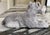 1981 Sandicast Schnauzer Figure For Sale - Image 9 of 15
