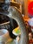 1970s 1970s Standing Brown Goose Sculpture For Sale - Image 5 of 12