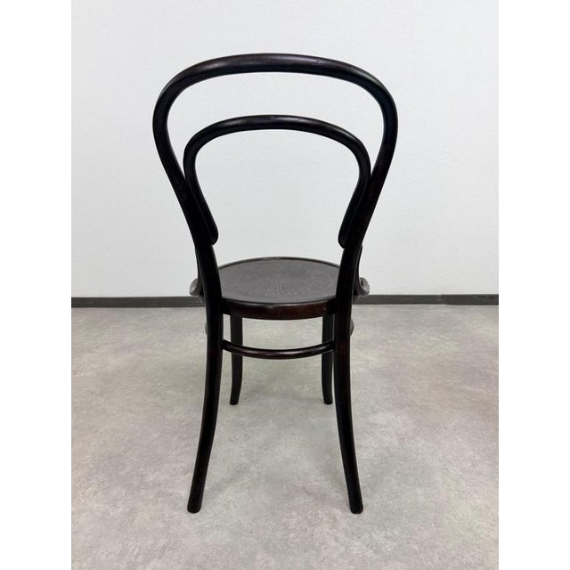 Gold Art Nouveau Bentwood No. 14 Chairs from Gebrüder Thonet, 1930s, Set of 2 For Sale - Image 8 of 11