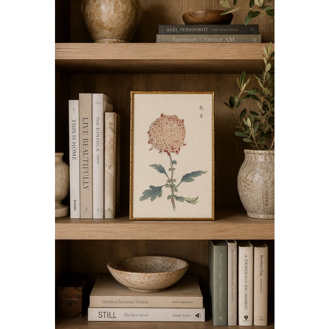 Paper Spider Chrysanthemum by Hasegawa, Vintage Japanese Botanical Art Print, 8" X 12" For Sale - Image 7 of 8