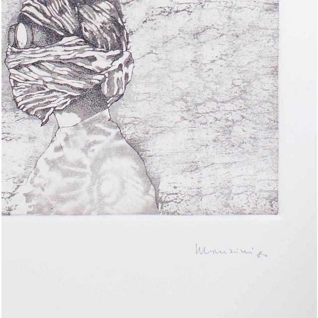 Limited Edition of 25 prints plus some artist's proof.