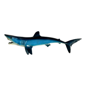 Vintage Coastal Shark Mount