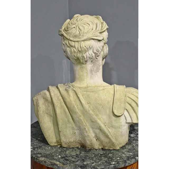 Large Stone Gladiator Bust, 1930 For Sale - Image 4 of 8