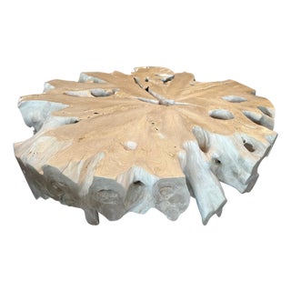 Andrianna Shamaris Bleached Teak Wood Organic Coffee Table For Sale