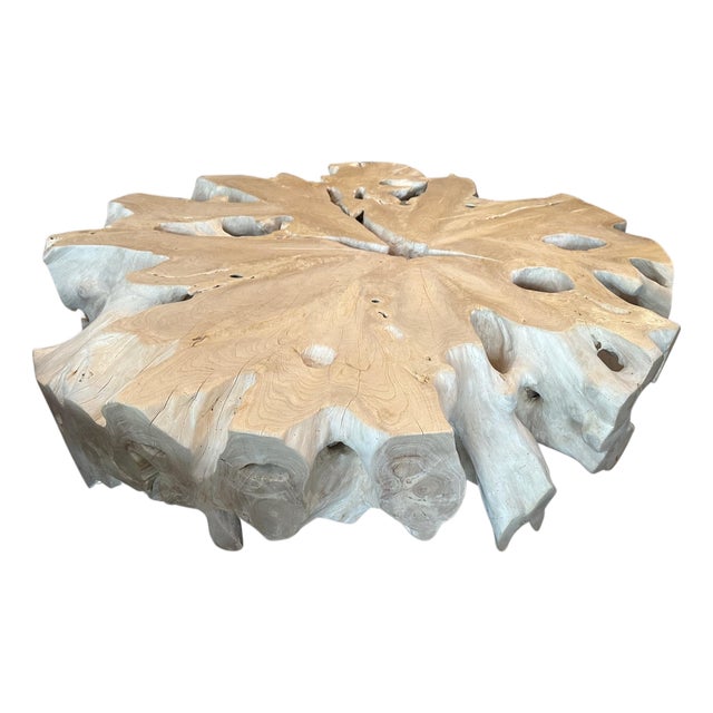 Andrianna Shamaris Bleached Teak Wood Organic Coffee Table For Sale