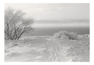Baltic Freeze #3 - Black and White Analogue Landscape Photography 100 X 70 Cm 2022