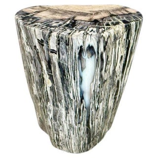 Andrianna Shamaris Minimalist Modern Organic Petrified Wood Side Table For Sale