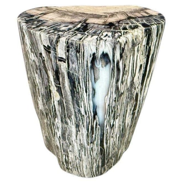 Andrianna Shamaris Minimalist Modern Organic Petrified Wood Side Table For Sale