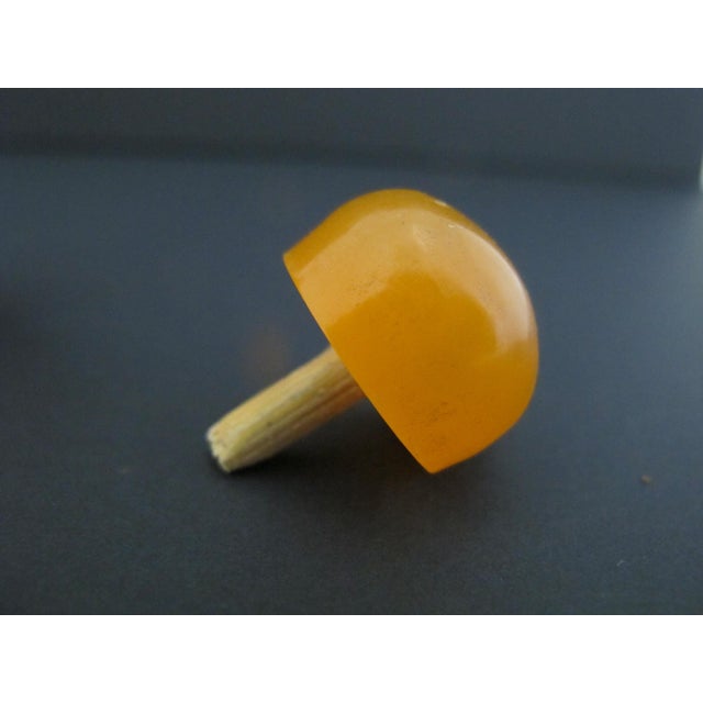 Chinese Erotic Orange Engraved Mock Mask Ring Handle Snuff Bottle For Sale - Image 10 of 11