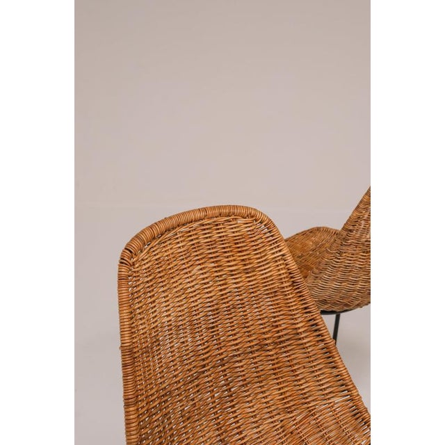 Black Basket Chairs by Gian Franco Legler, 1951, Set of 6 For Sale - Image 8 of 18