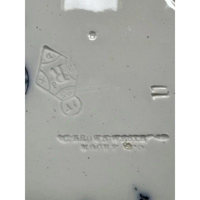 Antique Brown, Westhead & Moore English Staffordshire Ironstone Kiwi Bird Illus. Plate, No. 15 For Sale - Image 10 of 12