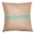 Bela Aqua Green Pillow Case, 20" x 20" For Sale