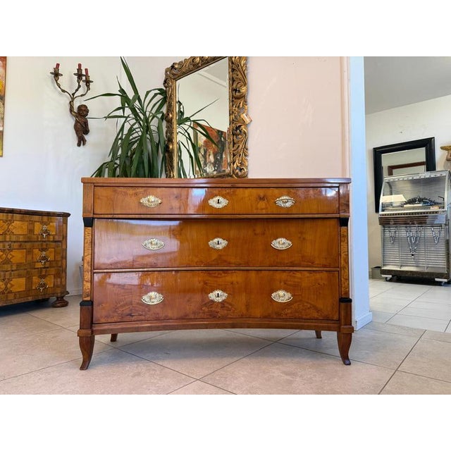 Empire Biedermeier Chest of 3 Drawers For Sale - Image 9 of 9