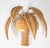 Palm Rattan Wall Sconces, Set of 2 For Sale - Image 3 of 14