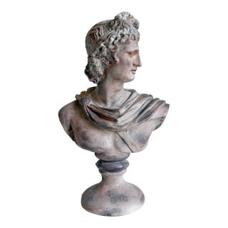 Classical Bust of Apollo Belvedere, Early 21st Century For Sale