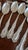 Antique Holmes & Edwards Silverplate Spoons,,Nassau/Fleur-De-Lis Pattern, Mono S Ornate 11 Pcs For Sale - Image 13 of 15