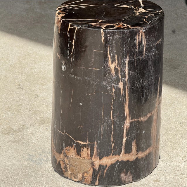 Small Side Table in Black Petrified Wood with Beige Striations For Sale - Image 18 of 18
