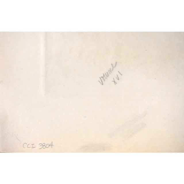 1920s Edward S. Curtis "A Santa Ana Man" Original Vintage Photogravure on Japon Vellum, 1925, Cardozo Collection For Sale - Image 5 of 5