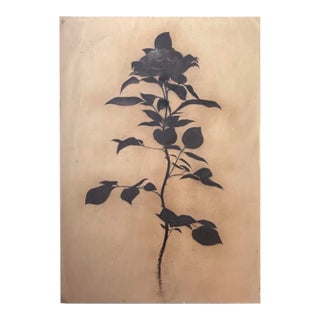 Monumental Black Rose Study on Paper — Attributed to Georgian Artist Lado Gorgadze For Sale