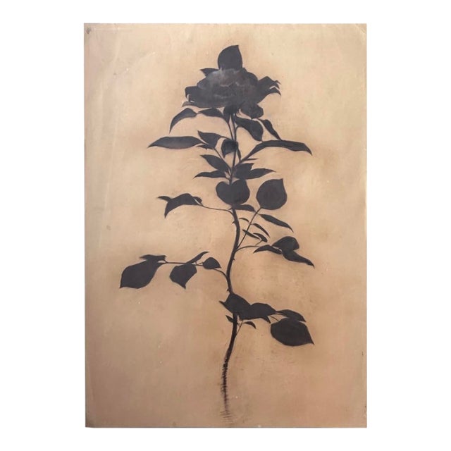 Monumental Black Rose Study on Paper — Attributed to Georgian Artist Lado Gorgadze For Sale