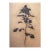 Monumental Black Rose Study on Paper — Attributed to Georgian Artist Lado Gorgadze For Sale