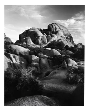Jumbo Rocks California #2 - Analogue Black and White Desert Rocks 2023