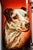 Victorian Antique Victorian Pitcher Mugs Hand Painted Dog Canine Portraits - Rare Complete Set of 7 For Sale - Image 3 of 18