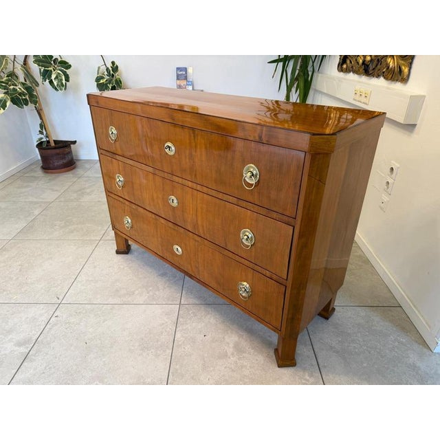 Brown Biedermeier Chest of Drawers in Walnut For Sale - Image 8 of 15