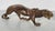 Modern bronze, solid cast panther. Long, linear, and flowing lines from the head to the tail define the body, cast in fine...