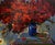 Oil Painting Poppies Are Red Oksana Ivanyuk For Sale