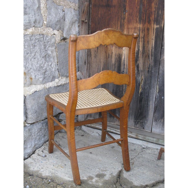 Antique Side Chair New Cane Seat Elegant Tiger & Bullseye Maple Cottage Bedroom For Sale - Image 4 of 18