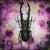 This artwork features a striking depiction of a beetle, rendered with meticulous detail against a vibrant, geometric...